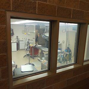 Animal Hospital- Treatment Room