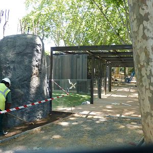 New Orangutan Enclosure, 17 June 2015