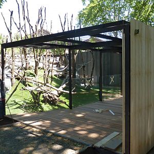 New Orangutan Enclosure, 17 June 2015