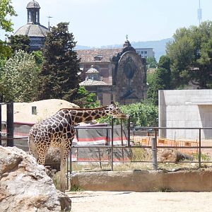 Construction work, 17 June 2015