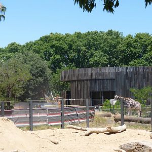 New Giraffe House, 17 June 2015
