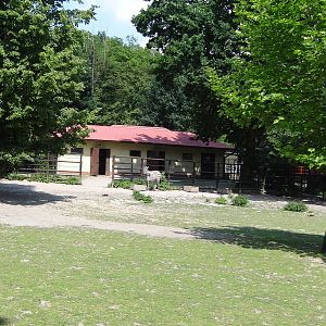 Maneless Zebra paddock and house