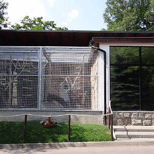 Squirrel Monkey exhibit