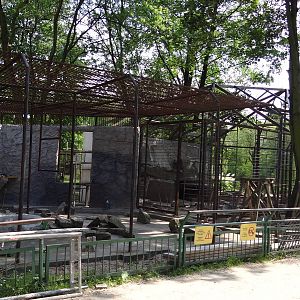 Hamadryas Baboon cage during renovation