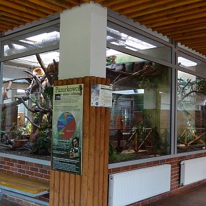 South American monkeys exhibits