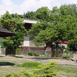 Southern White Rhino paddock