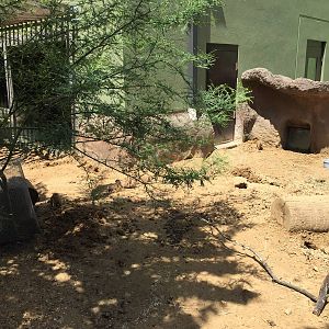 Black-tailed Prarie Dog Exhibit