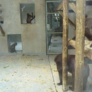 Drill house, 17 June 2015