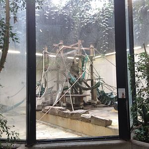 Indoor Gorilla Enclosure.