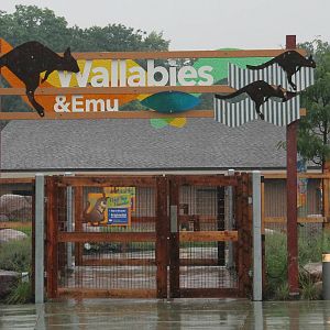Wallaby and emu exhibit