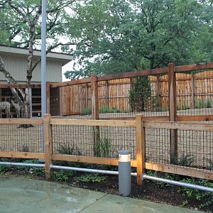Alpaca and llama exhibit