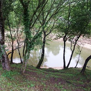 First Pygmy Hippo Enclosure at Cabarceno, 11/06/15