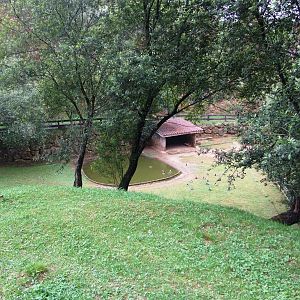 Second Pygmy Hippo Enclosure at Cabarceno, 11/06/15