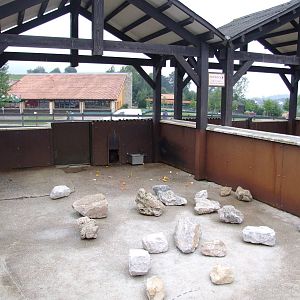Porcupine Enclosure at Cabarceno, 11/06/15