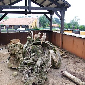 Meerkat Enclosure at Cabarceno, 11/06/15