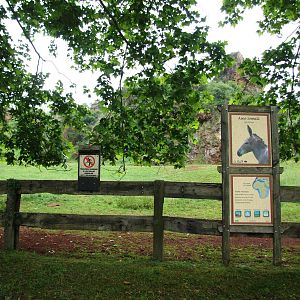 Somali Wild Ass Enclosure at Cabarceno, 11/06/15