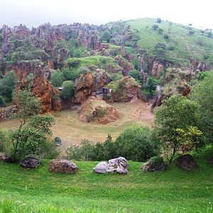 Cheetah Enclosure at Cabarceno, 11/06/15