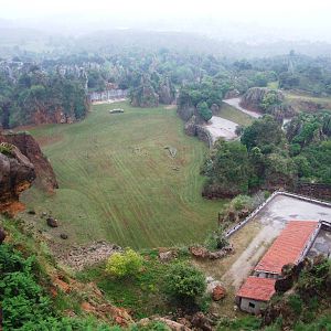 Lion Enclosure at Cabarceno, 11/06/15