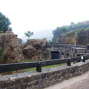 European Lynx Enclosure at Cabarceno, 11/06/15