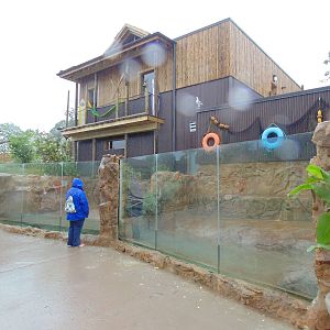 Philippine Crocodile Exhibit