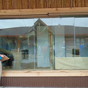 Indoor Holding Clouded Leopard(right) & Visayan Wart Pig(Left)
