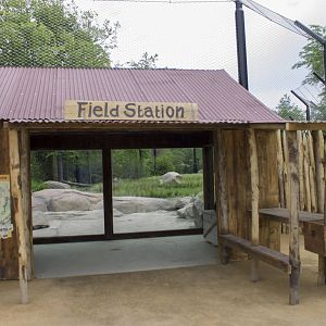 New lion exhibit - Field Station