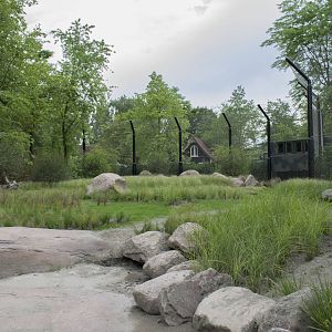 New lion exhibit - Outdoor
