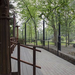 New lion exhibit - Platform