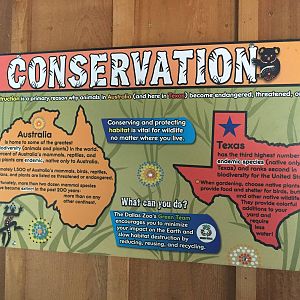 Conservation similarities between Australia and Texas