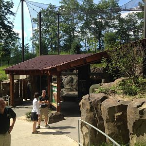 Tigers of the Realm - second phase - Jungle River