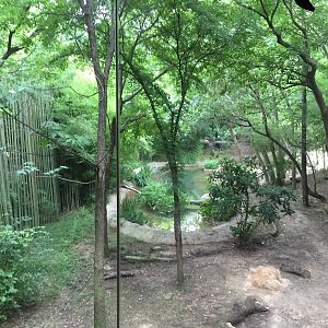 Sumatran Tiger Exhibit