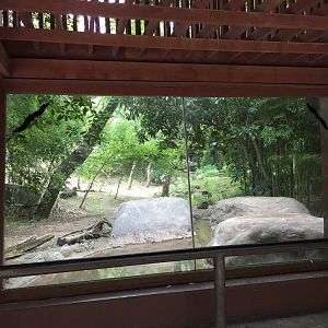 Sumatran Tiger Exhibit