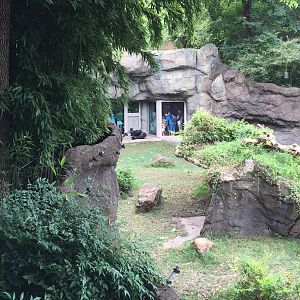 Lowland Gorilla Exhibit