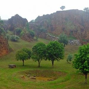 Tiger enclosure (June 2015)
