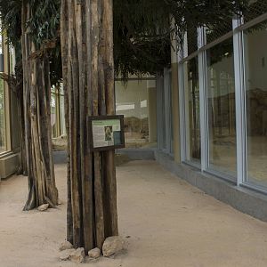 New lion exhibit - Indoor
