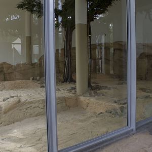 New lion exhibit - Indoor