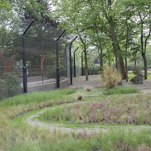 New lion exhibit - Outdoor