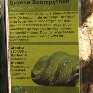 Sign Aru tree python