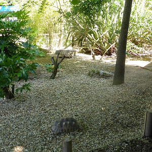 Tortoise enclosure