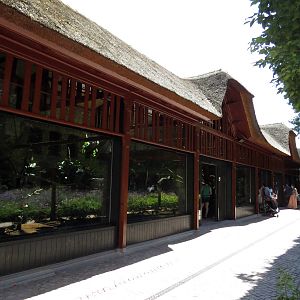 Koala house, June 2015