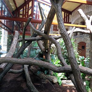 Tree kangaroo enclosure, June 2015