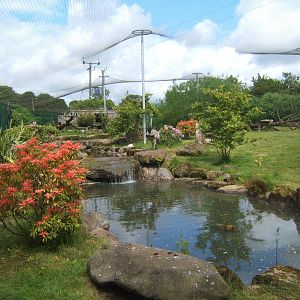 Mixed Aviary,this used to be the Pink Aviary