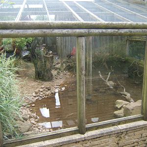 Former Wader Aviary now home to ASCO