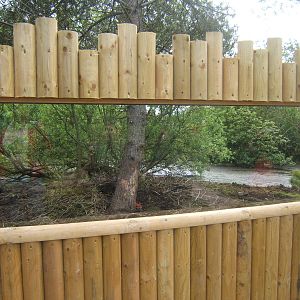 View of Visayan Warty Pig enclosure