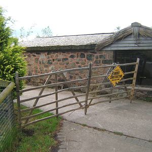 The original Blackbrook Lemur house waiting for its new usage