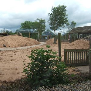 View of the future walk through Meerkat enclosure