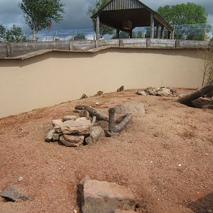 Meerkat enclosure un-changed from the days of Blackbrook