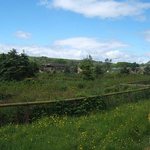 View acroos to all the walk throughs from the old North American Waterfowl