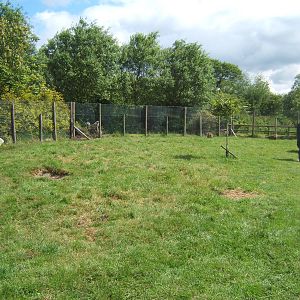 View of Wallaby Walk through