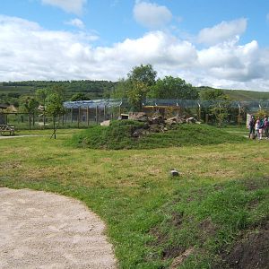 View of Wallaby Walk through